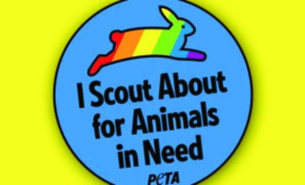 PETA offers merit badges to gay scouts
