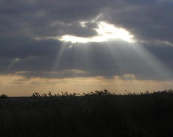 Rays of Happiness Cutting Through the Economic Gloom
