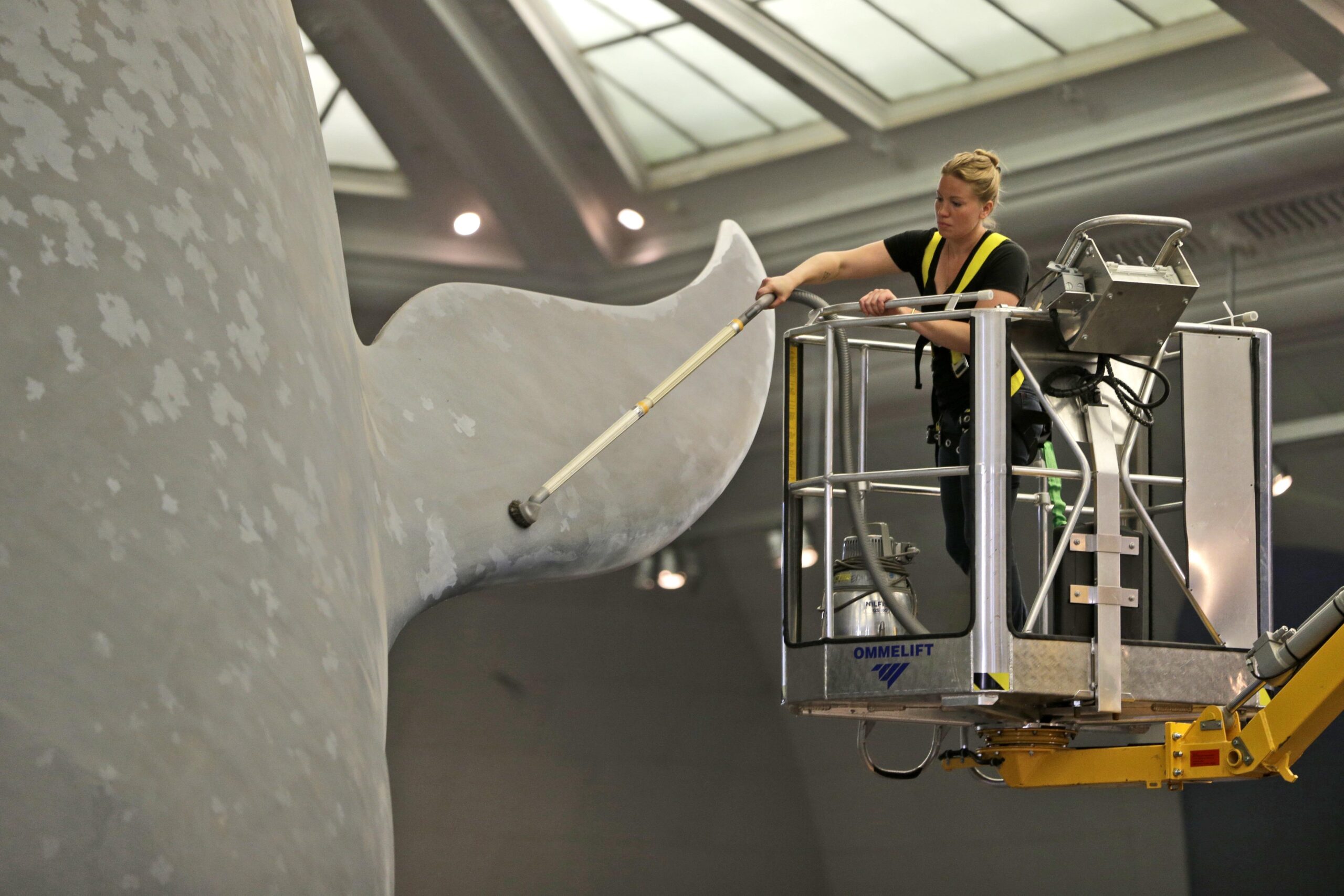NY museum’s famous blue whale gets a dusting