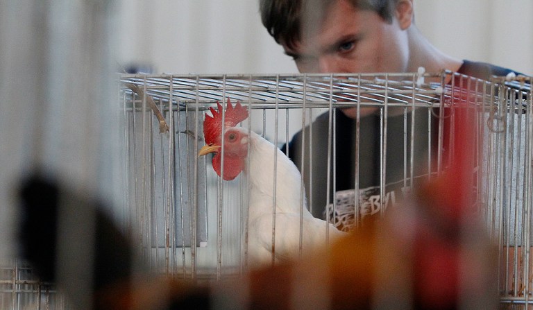 In addition to avoiding 