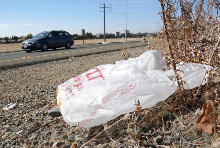 By voting the plastic bag ban down, California taxpayers would save hundreds of thousands in tax dollars that would be spent on administrative costs associated with implementing and enforcing the ban. (AP Photo)Â 