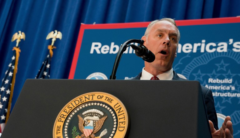 In a Friday morning vote, 68 Republicans opposed it, prompting it to fail 156-248. (AP Photo/Andrew Harnik)