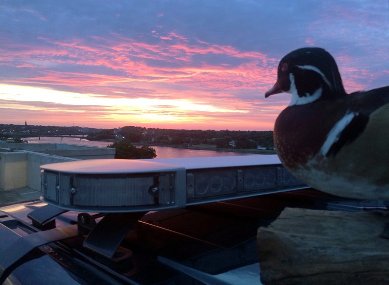 In this July 6, 2014, photo released by the Bangor Police Department, the department's stuffed 