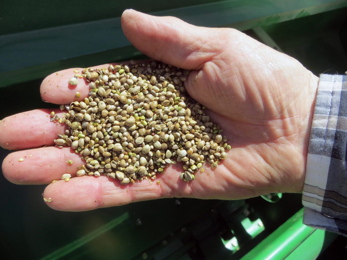 APNewsBreak: Hemp seeds seized at US-Canada border