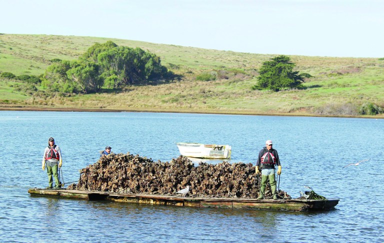 Dismantling America, one business at a time