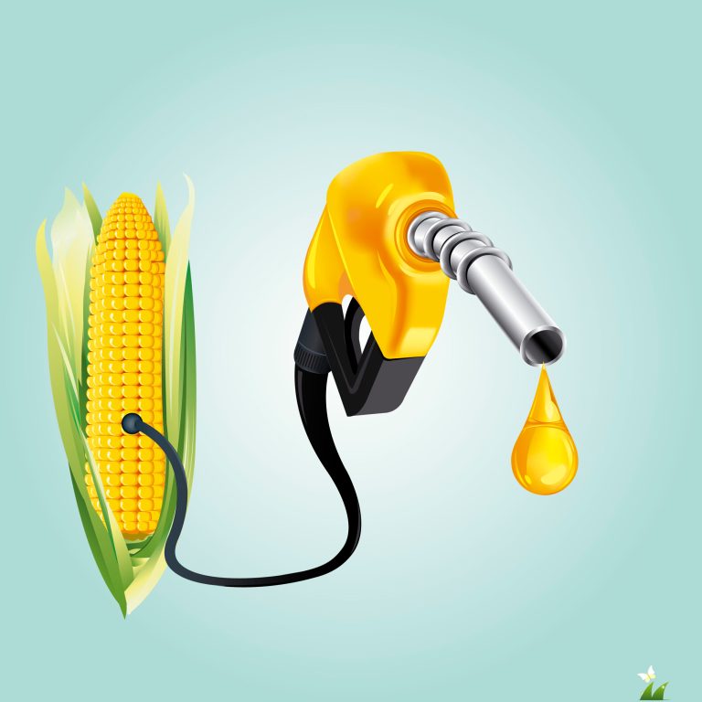 The Environmental Protection Agency sent the Office of Management and Budget a long-awaited proposal for review that would set the federal target for blending biofuels into gasoline. (iStock Photo)