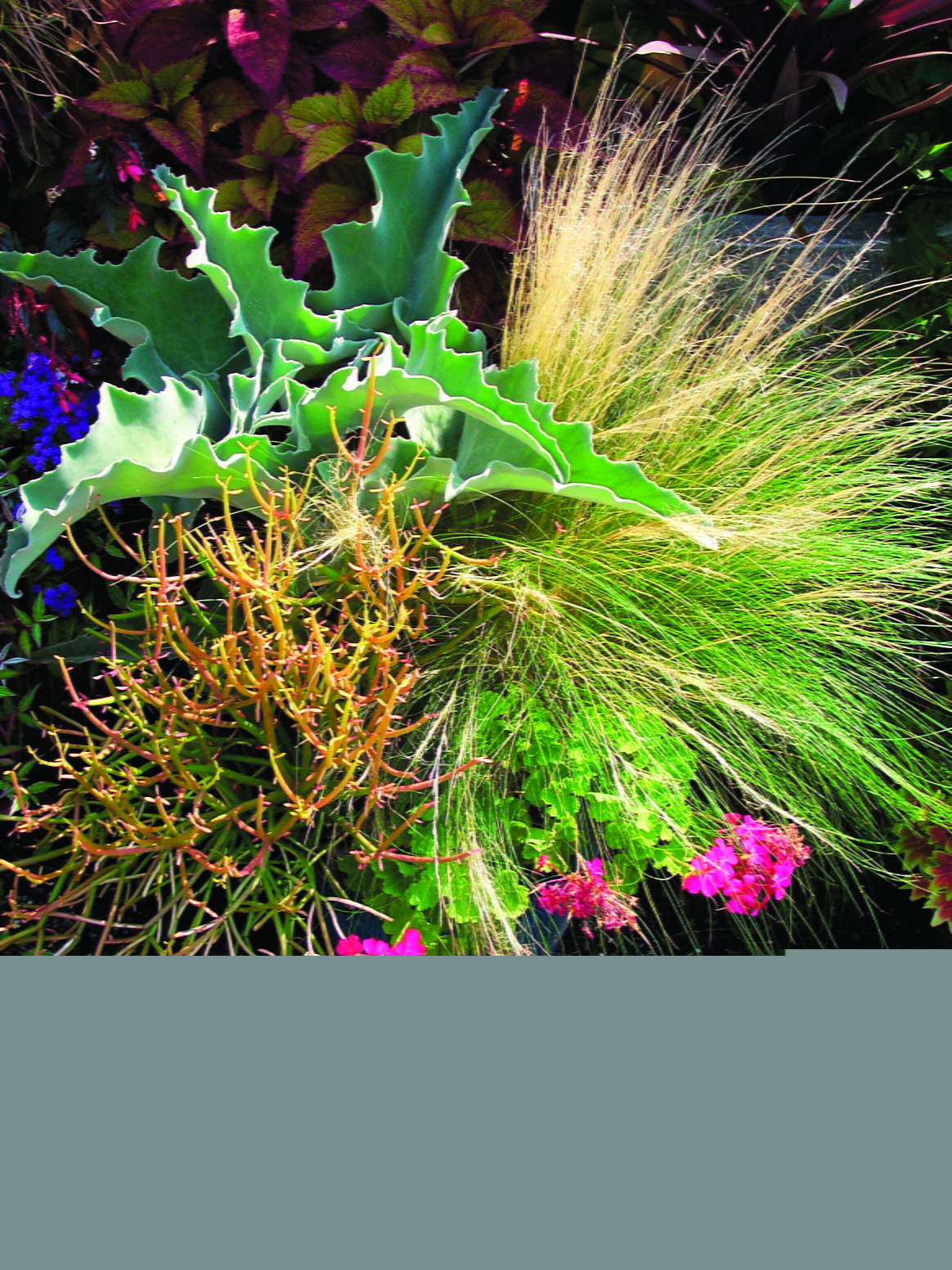Gardeners should plant with warming weather patterns in mind