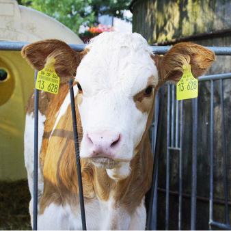 All the Omnibus’s Earmarks