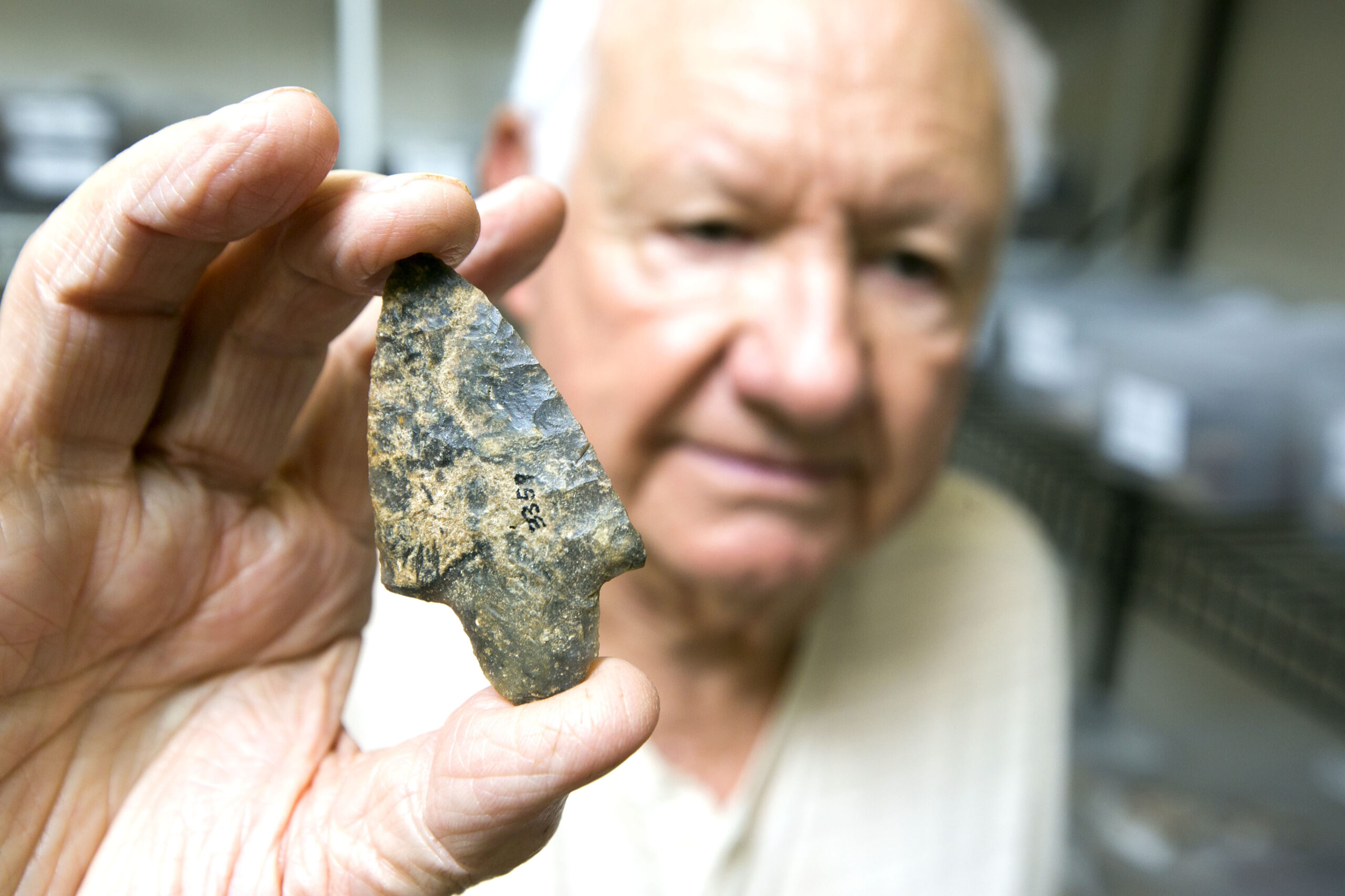 50 years of exploring Florida leads to many finds