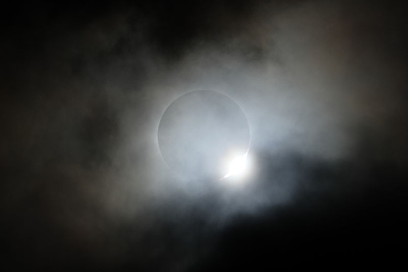 Prufrock: Mysterious Dark Matter, Bacteria Balloons and the Solar Eclipse, Glen Campbell and Charles Portis