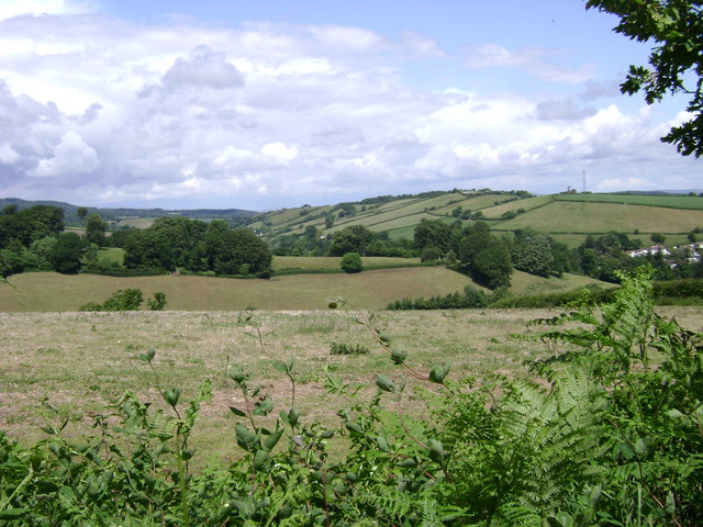 Prufrock: Sunny Sylvia, van Gogh’s Dead Grasshopper, and Unsentimental Rural Britain