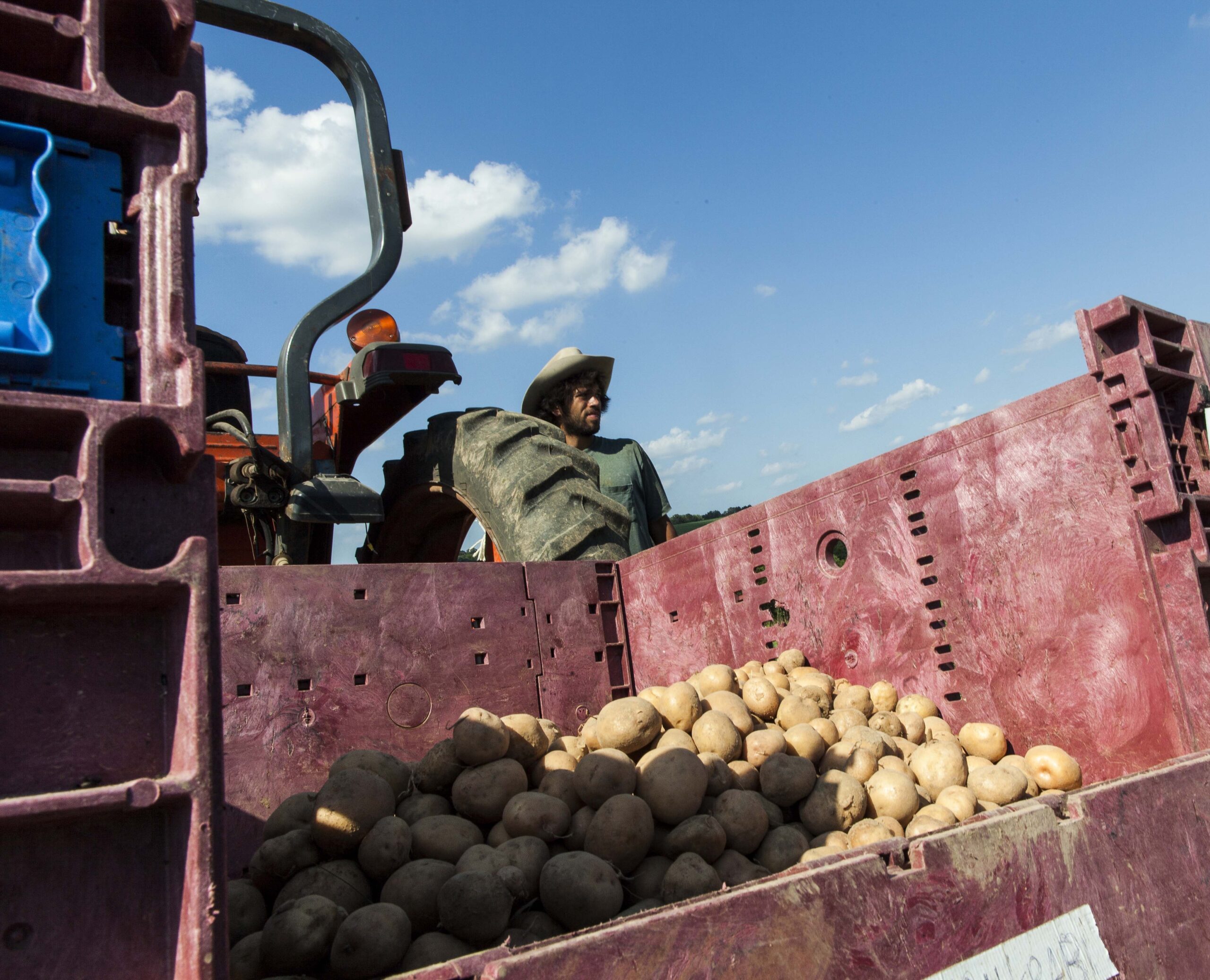 Congress wants more potatoes in government program