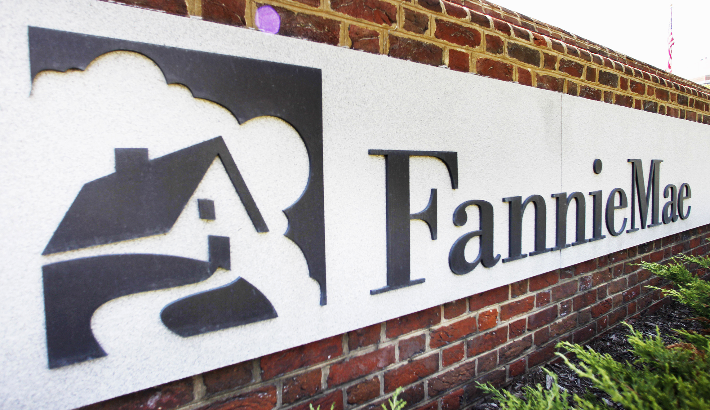 Rising drumbeat for Trump to deal with Fannie and Freddie himself