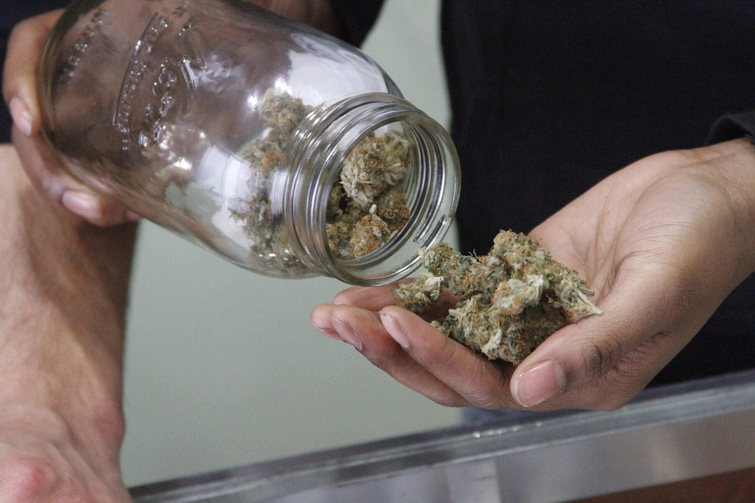 Three senators to introduce historic bill to federally legalize medical marijuana