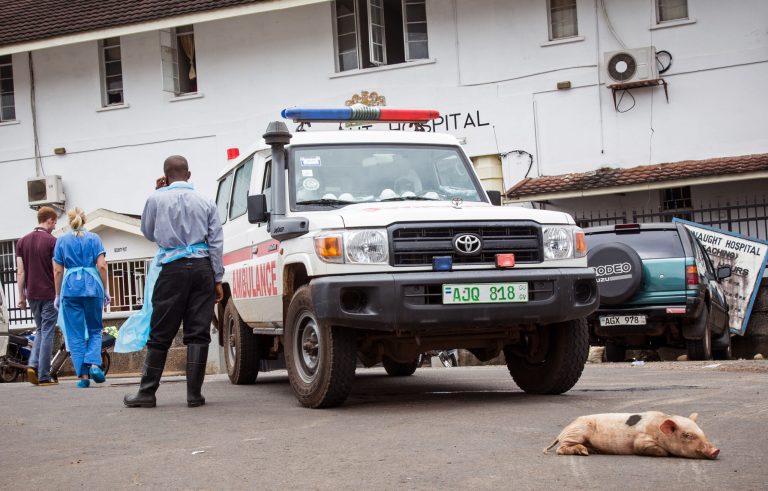 A baby pig sleeps in front of an ambulance used at the Connaught Hospital as part of their Ebola virus fleet, during a three-day lockdown to prevent the spread on the Ebola virus in Freetown, Sierra Leone, Sunday, Sept. 21, 2014. Volunteers going door to door during a three-day lockdown intended to combat Ebola in Sierra Leone say some residents are growing increasingly frustrated and complaining about food shortages. (AP Photo/ Michael Duff)