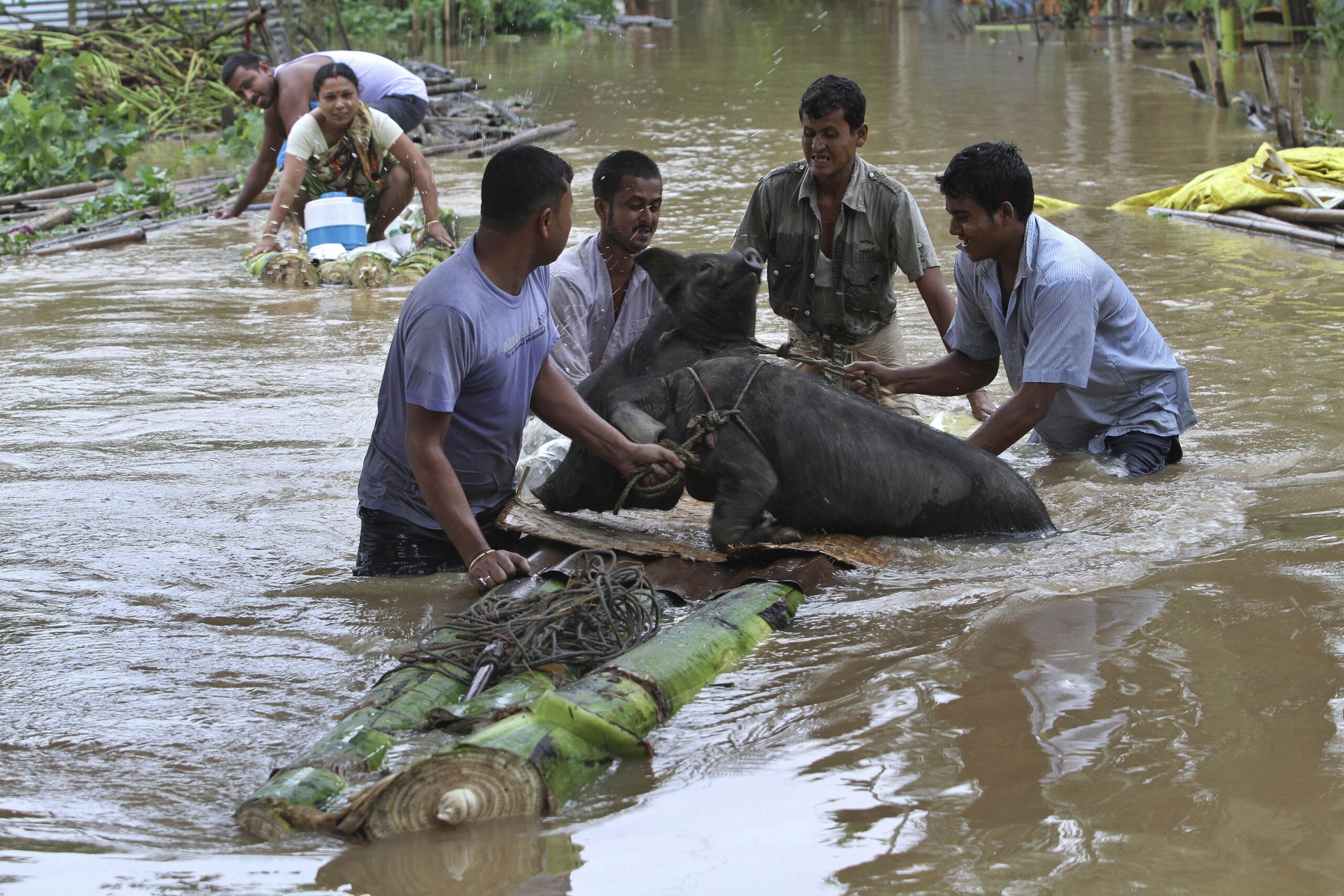 Image of Asia: Saving their livelihood from floods