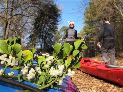 Talking Points: Mistletoe, murder and the Middle East