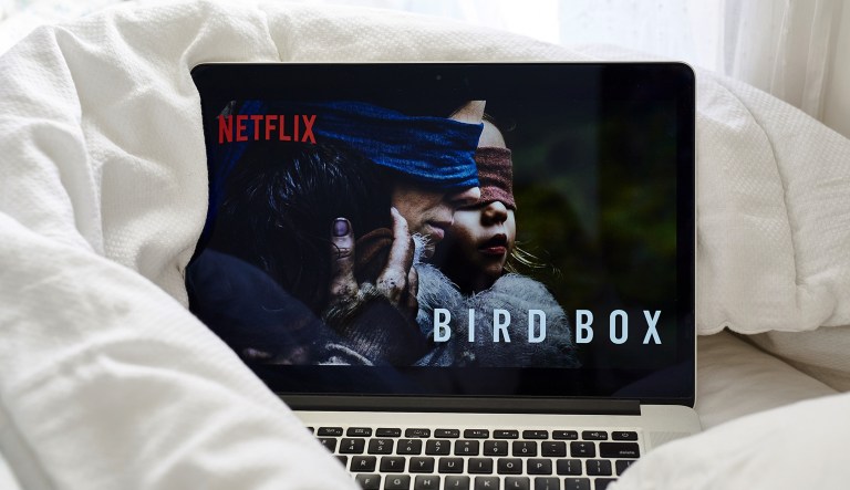The home screen for the Netflix Inc. original movie "Bird Box" is seen.