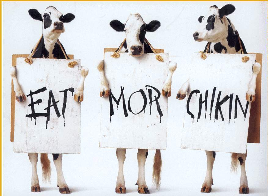 Eat Mor Chikin: Obama directs $170 million government purchase of meat