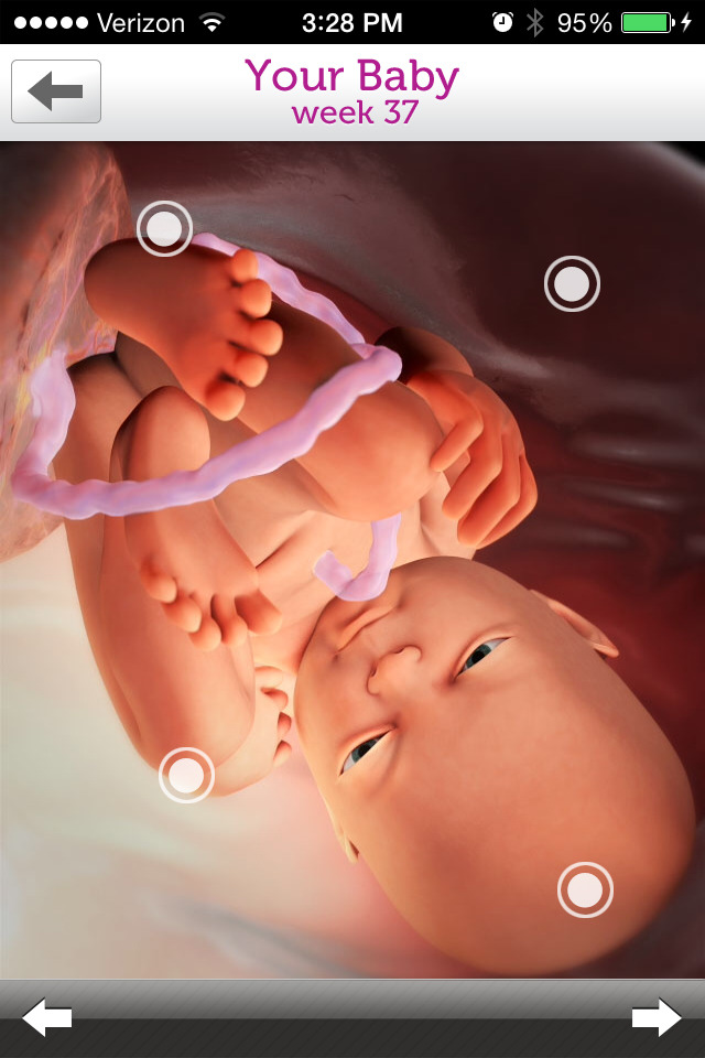 Review: Pregnancy apps track baby, mom’s progress