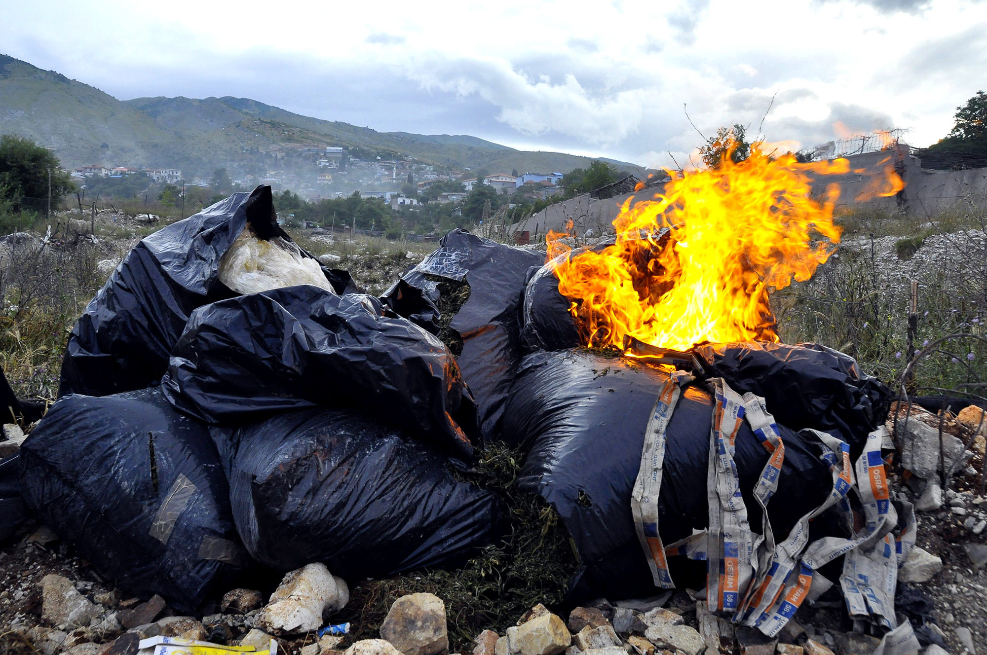 Albania: tons of drugs seized from lawless village