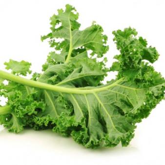 Let Them Eat Kale