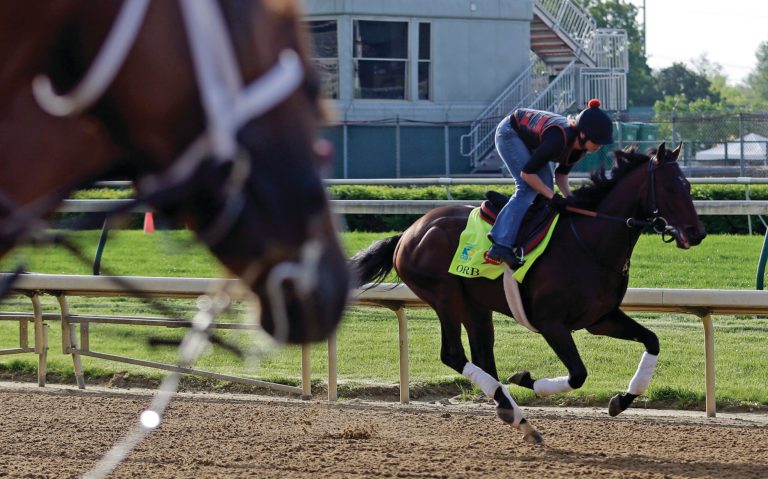 Morry Gash/AP
Kentucky Derby favorite Orb comes to Churchill Downs having won his last four races, including the Florida Derby in March.