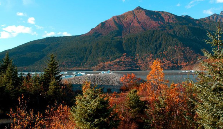 This is a picture of Tongass National Forest in Alaska.