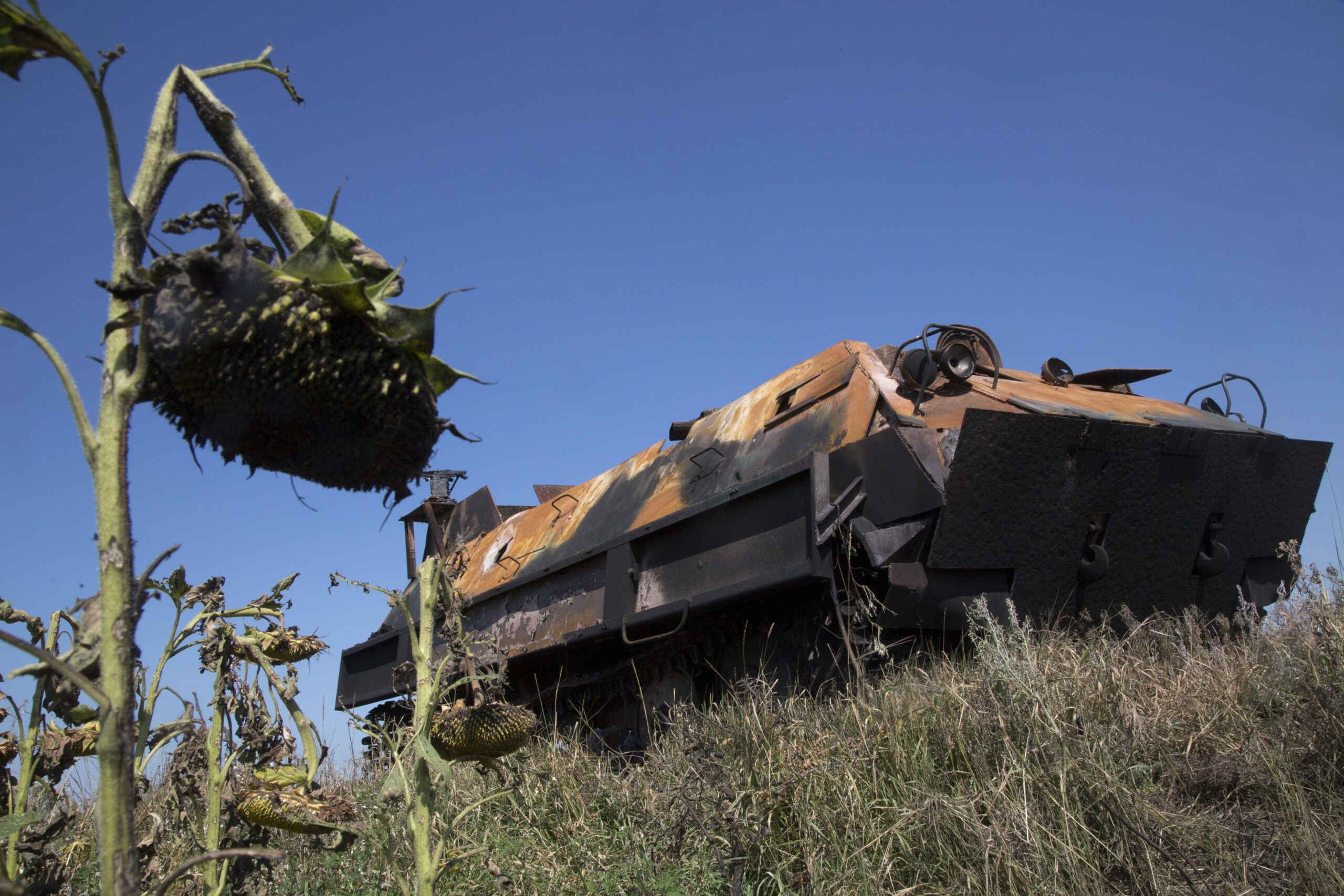 Study: Arms embargo wouldn’t hurt Russia