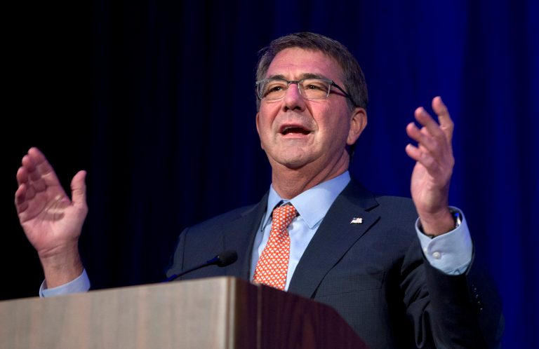 Defense Secretary Ash Carter announced the formation of the working group last month. (AP Photo)Â 