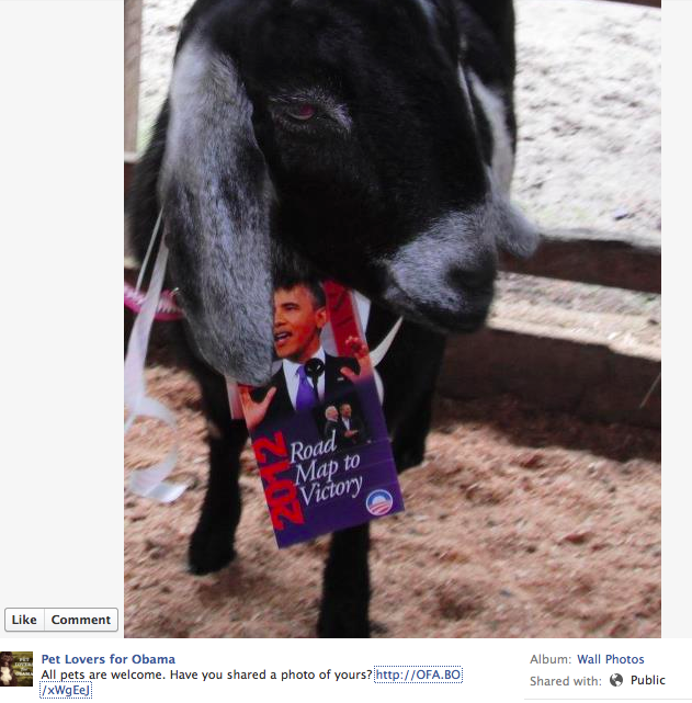Goats for Obama!