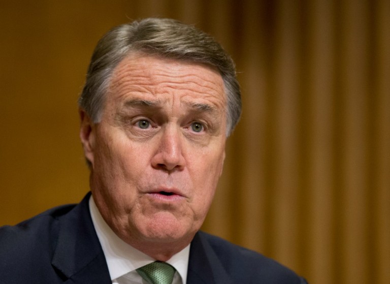 "You have to look at a body of work for a long period of time before anybody calls anybody else a racist," Sen. David Perdue, R-Ga., told the Washington Examiner. (AP Photo)