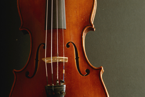 Violin, close up