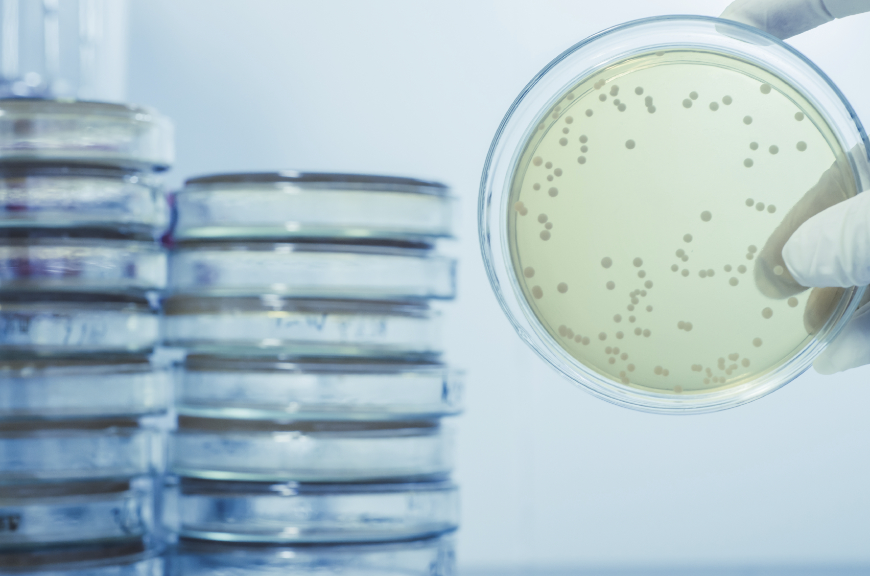 Iowa VA patients not told of Legionnaires’ bacteria in hospital water: Report