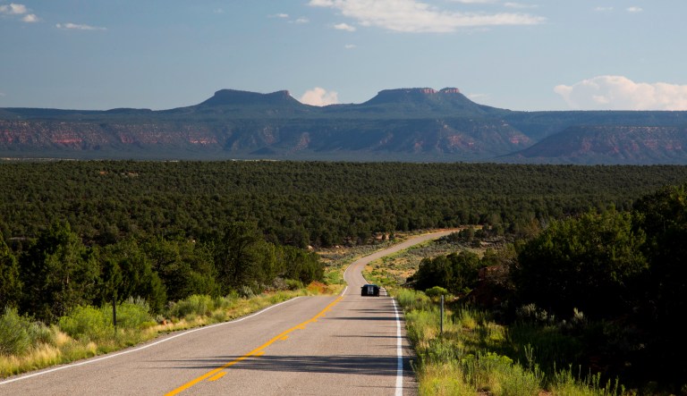 A coalition of five Native American tribes, and environmental groups, have filed three lawsuits challenging President Trump's shrinking of Bears Ears. (Photo via Wikipedia)