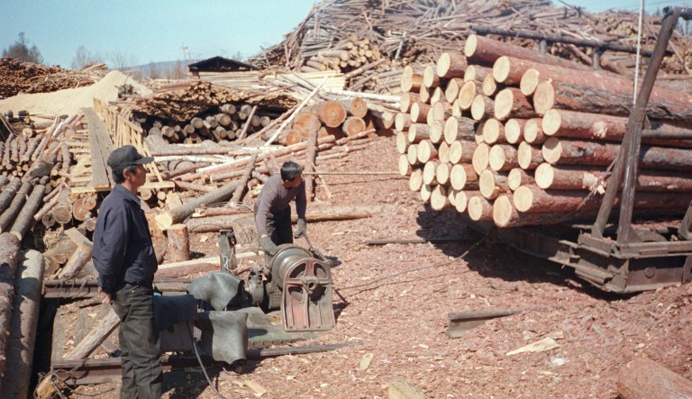Northern Korean workers work at saw-mill in the camp of Dzhalingra in Russia. U.S. officials have made the case that North Korean laborers working overseas amount to slaves of the regime, which confiscates much of the money they send home to finance its illicit weapons program. (AP Photo/Anatoly Medetsky)