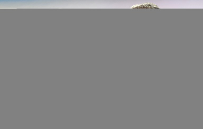 It could create the impression that Trump's entire presidential campaign is a grudge match against Bush. (AP Photo)