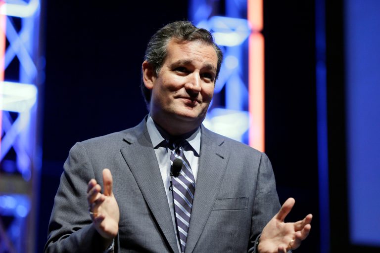 Sen. Ted Cruz declined Tuesday evening to publicly support Sen. Mitch McConnell for Senate majority leader. (AP Photo)