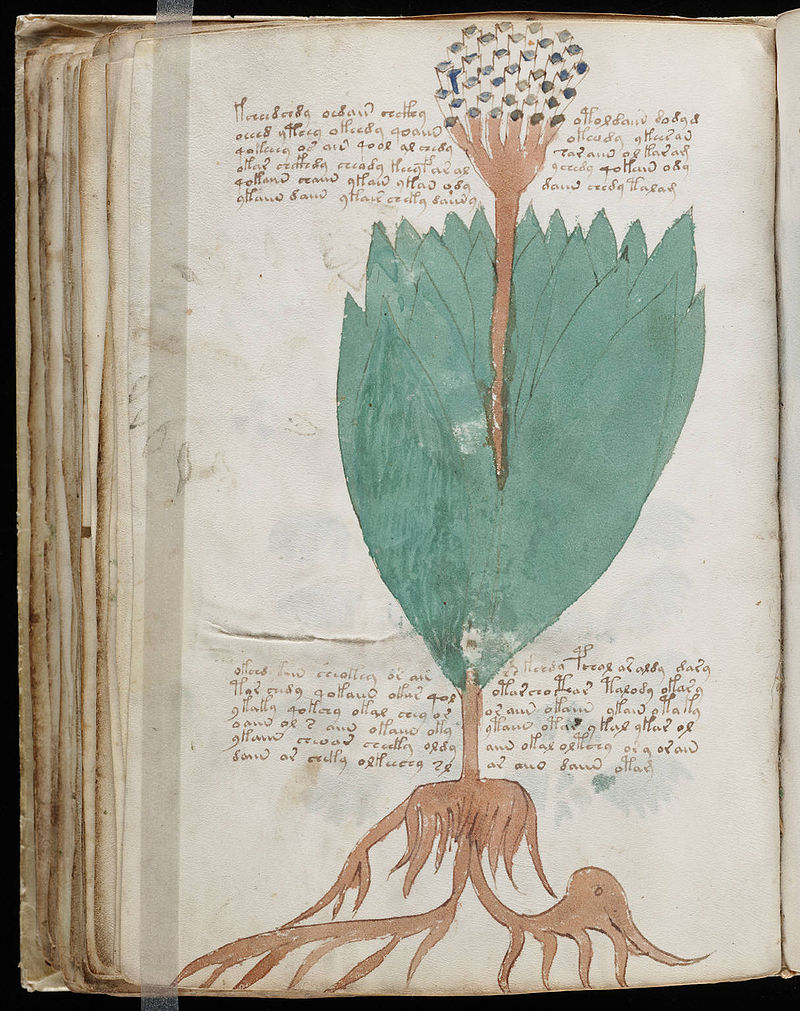Prufrock: Uncle Ez at the Asylum, the Mabinogi Tales, and Voynich Manuscript Breakthrough