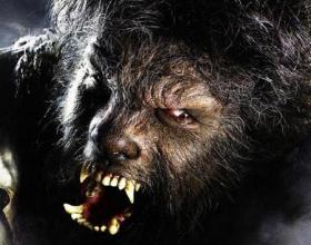 The Wolfman Cometh