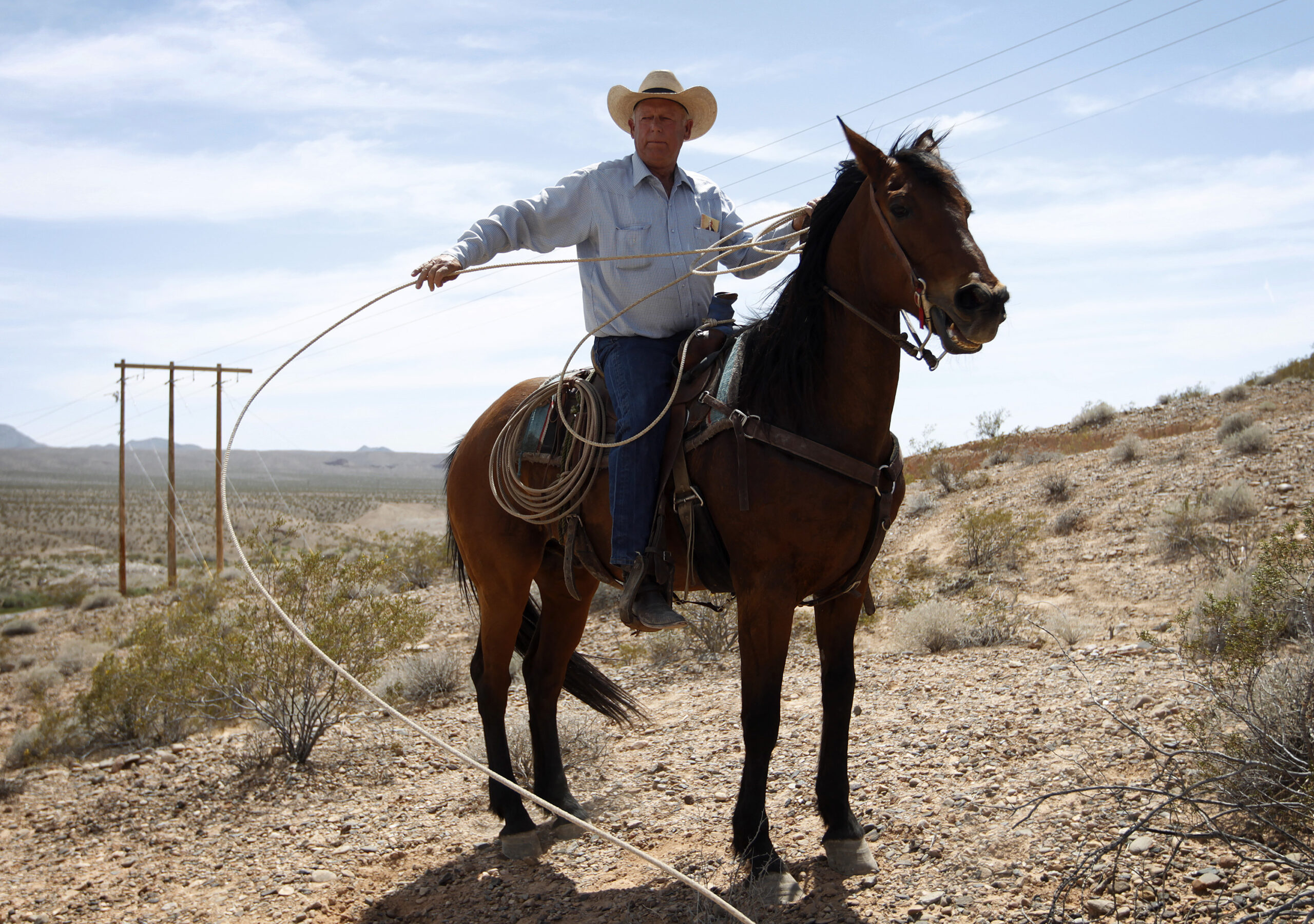 MSNBC’s obsession with Nevada rancher Cliven Bundy