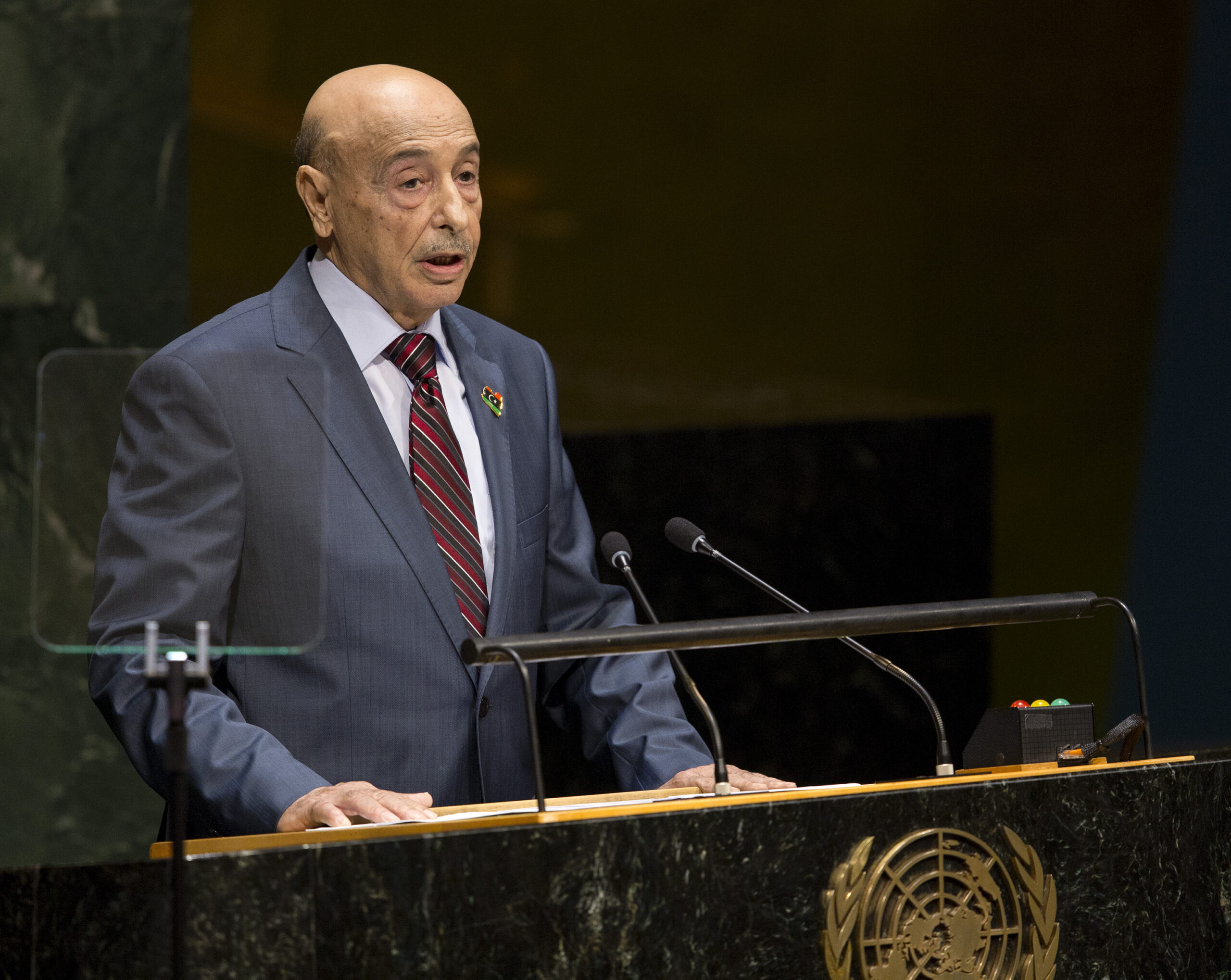 Libya pleads for help in battling terror groups