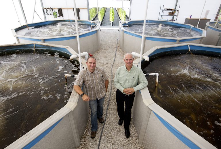 In this photo taken on Monday, Oct. 6, 2014 Tom Winrow, director of sales at Florida Urban Organics, and Gary Winrow, managing director of Selovita, the parent of company of Florida Urban Organics have built up a farm in industrial Fort Myers, Fla. They grow lettuces, micro greens and other organic greens. The waste water from these tilapia filled tanks is pasteurized and used for fertilizer. The company has received a Global G.A.P. certification. (AP Photo/The News-Press, Andrew West)  MAGS OUT; NAPLES OUT;  NO SALES