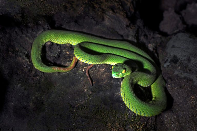 Most of EGA's foundation members have similar million-dollar dirty little secrets, but their tax-exempt activist recipients are not morally conflicted by taking fossil fuel cash and keeping it a secret as long as it furthers their corrosive goals. (Photo: iStock)