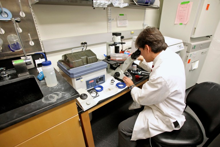 A paradigmatic shift in cancer research is under way, due to the advent of new treatments that may not principally target the tumor itself, but work by eliciting immune responses against the tumor (cancer immunotherapy). (Tim Boyle/Bloomberg)