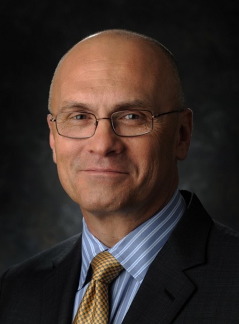Democrats Try to Run the Trump Strategy on Andy Puzder
