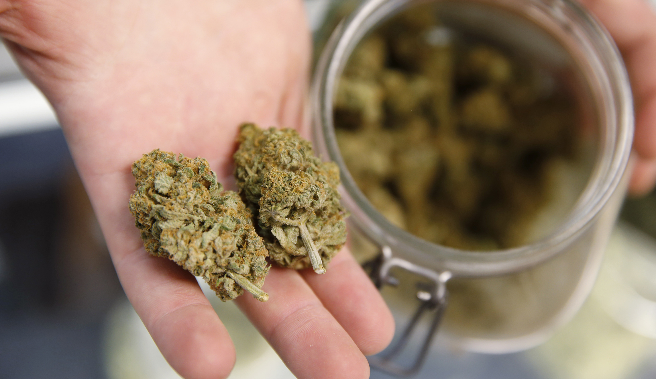 Colorado Senate Democrats: We’ll give Sessions our legal pot ‘when he pries it from our warm, extremely interesting to look at hands’
