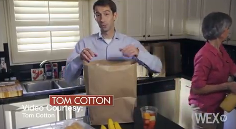 VIDEO: Republican leads in key Senate battleground state