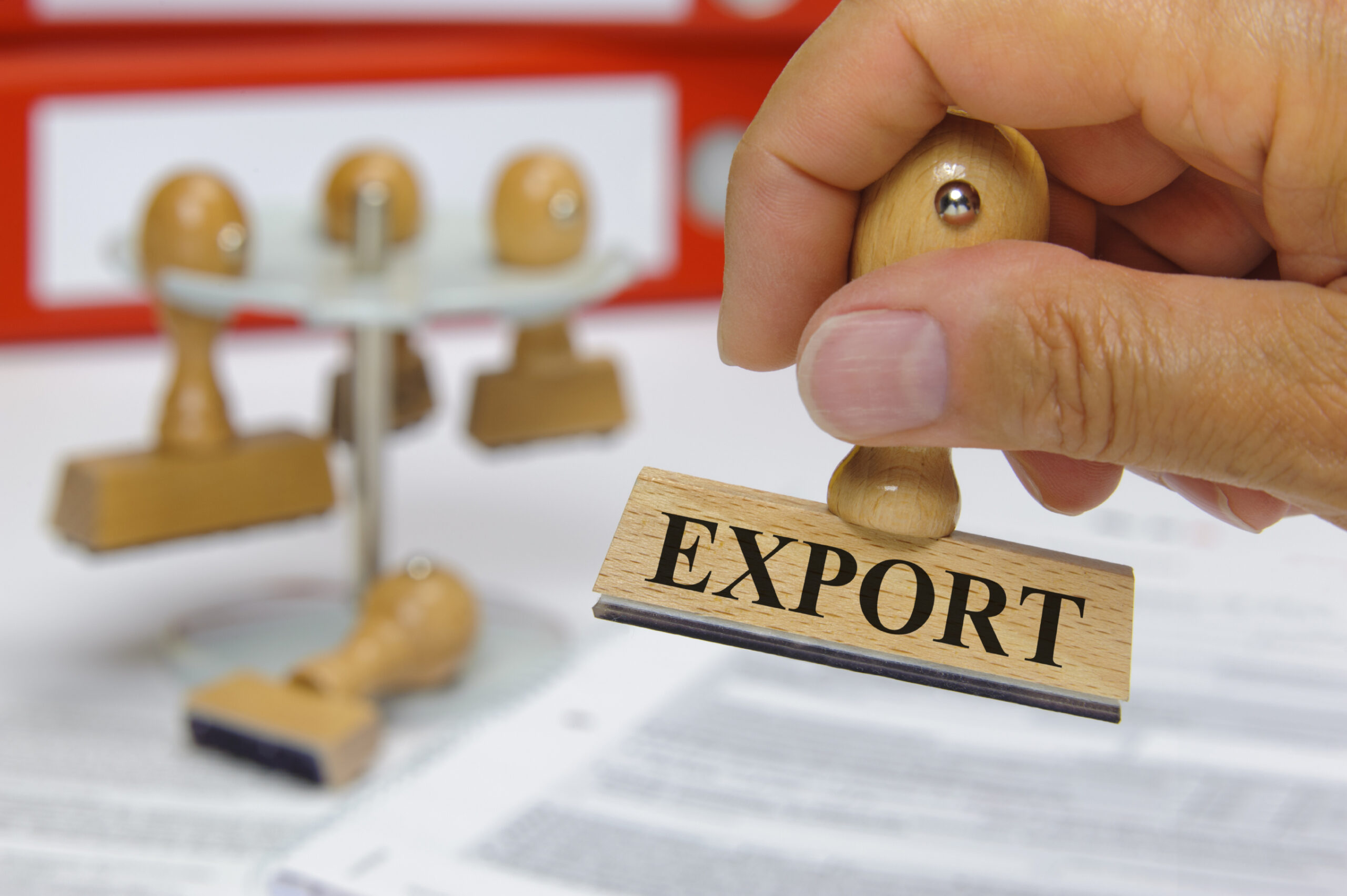 The Export-Import Bank and the German model