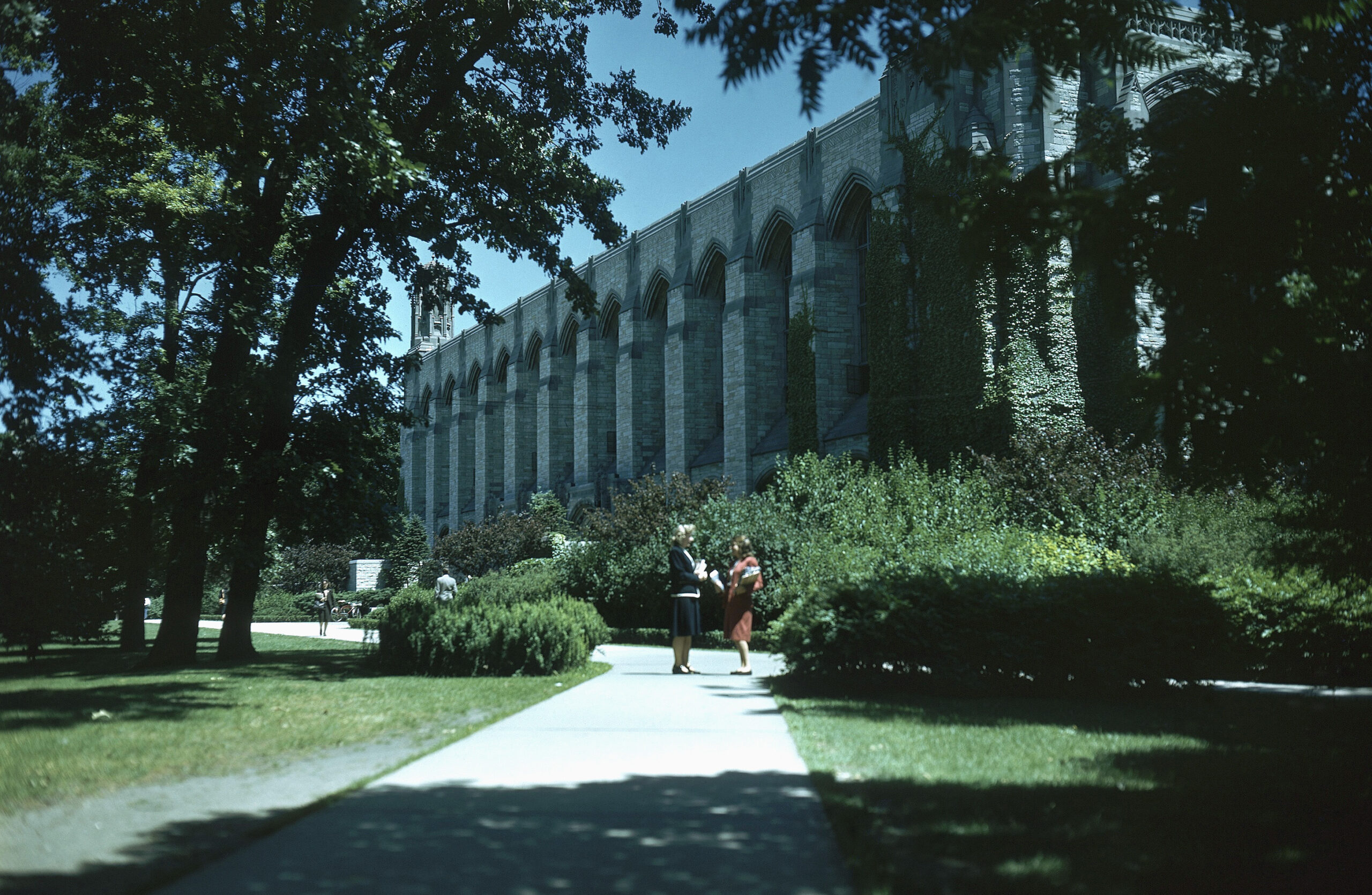 Rights group petitions Senate over campus sexual assault